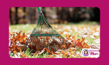 Tidy your Garden in 5 Simple Steps