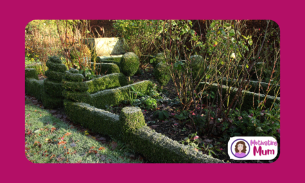 Using the Winter to Get Ready for Spring Gardening Fun