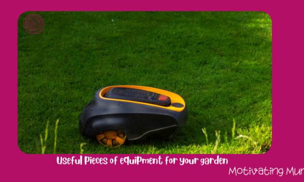 Useful pieces of equipment for your garden